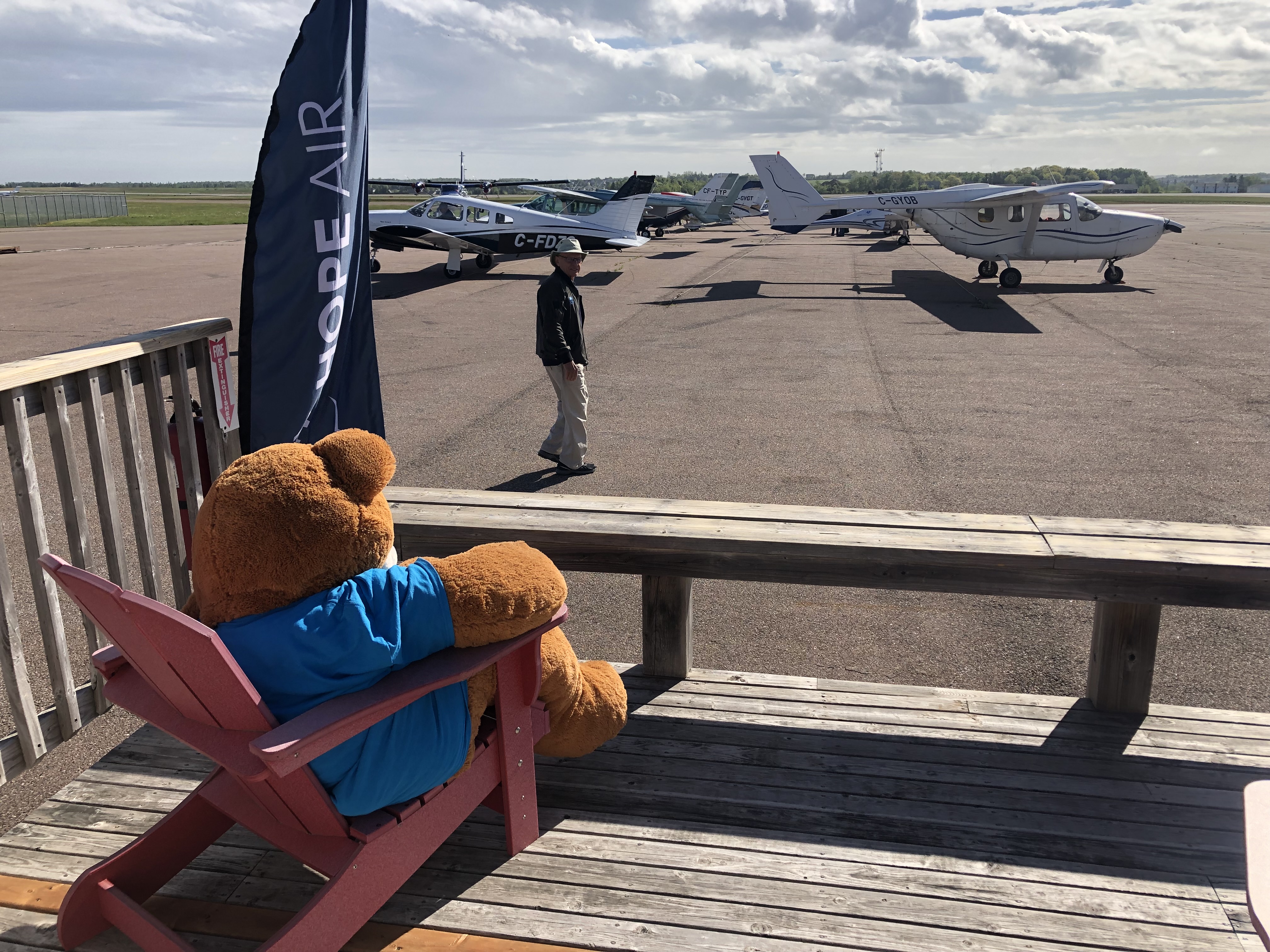 Hope Air Jet Bear watches over the planes in Charlottetown Photo taken by: Marilyn Staig